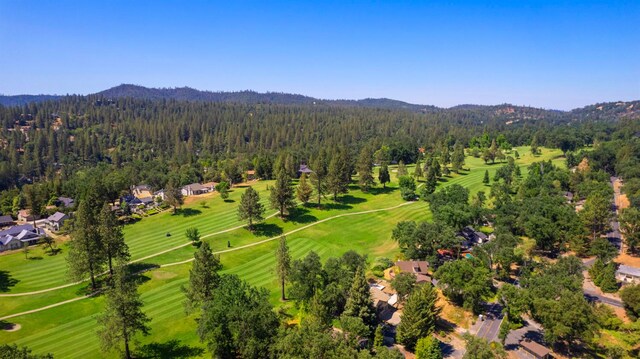 20018 Pine Mountain Dr, Groveland, CA 95321 - photo 46