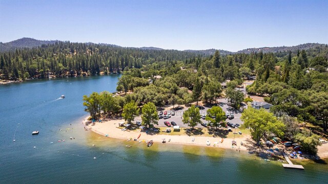 20018 Pine Mountain Dr, Groveland, CA 95321 - photo 52