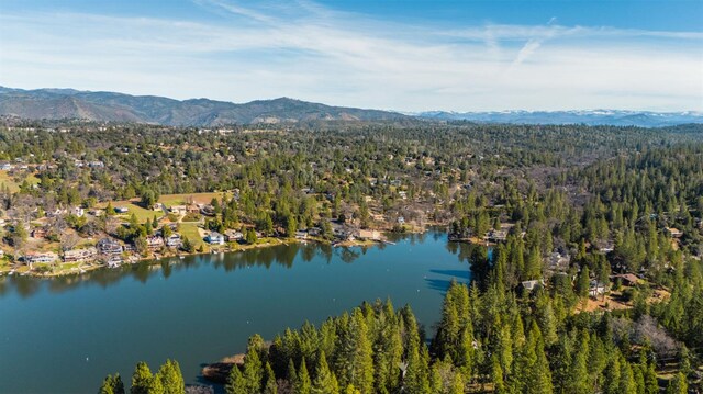 20018 Pine Mountain Dr, Groveland, CA 95321 - photo 37