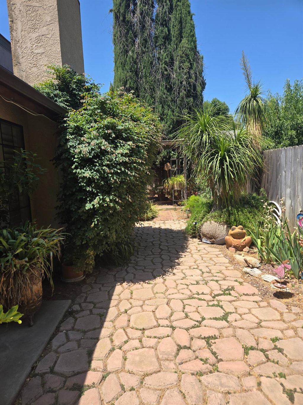 7762 N 7th St, Fresno, CA 93720 - view of patio