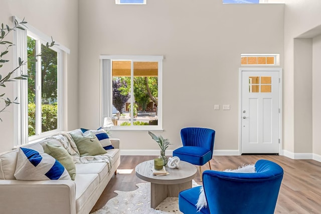 2234 E Serena Ave, Fresno, CA 93720 - living area with a high ceiling, plenty of natural light, and wood finished floors