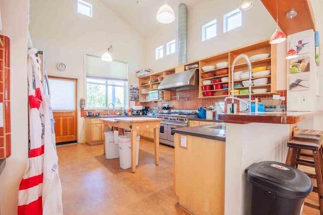 2658 E Alluvial Ave Unit 220, Fresno, CA 93720 - kitchen featuring open shelves, wall chimney range hood, decorative backsplash, stainless steel appliances, and a high ceiling