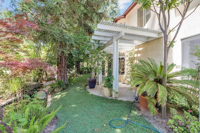 6609 N Dover Ct, Fresno, CA 93711 - view of green lawn with a pergola