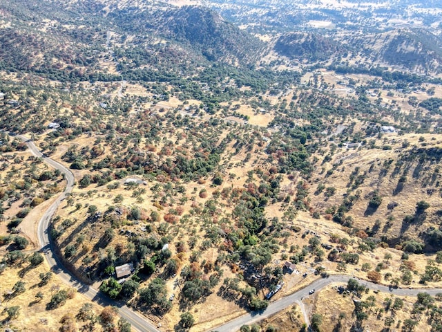 0 Partridge Ln, Yokuts Valley, CA 93675 - photo 6