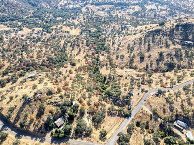 0 Partridge Ln, Yokuts Valley, CA 93675 - photo 4