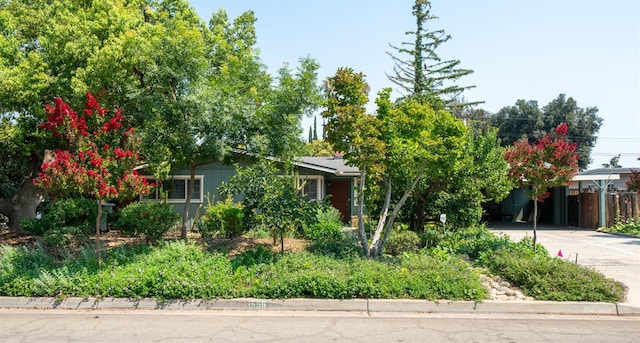 1556 E Loftus Ln, Fresno, CA 93710 - view of property hidden behind natural elements with concrete driveway and an attached carport