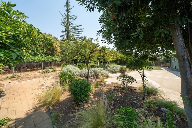 1556 E Loftus Ln, Fresno, CA 93710 - view of yard