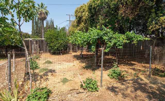 1556 E Loftus Ln, Fresno, CA 93710 - view of yard