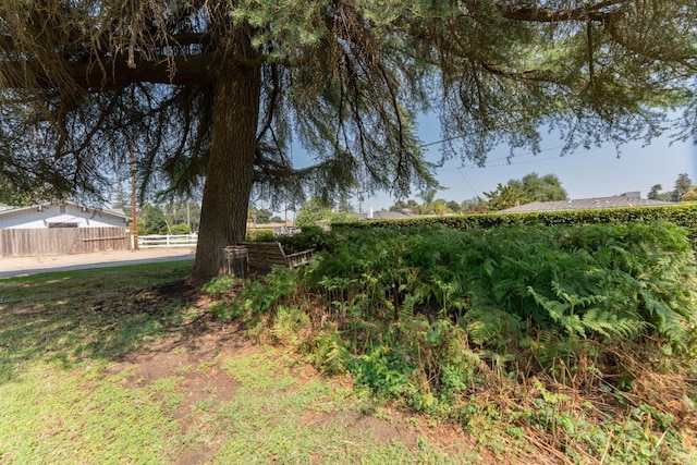 6583 De Woody Ave, Laton, CA 93242 - photo 6