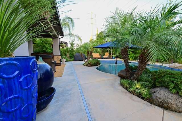 2445 E Copper Hill Way, Fresno, CA 93730 - photo 41