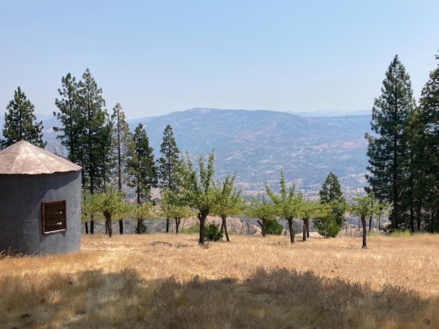 43006 Cedar Springs Rd, Auberry, CA 93602 - photo 3