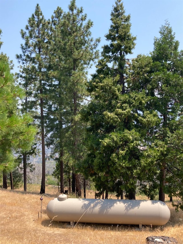 43006 Cedar Springs Rd, Auberry, CA 93602 - photo 10
