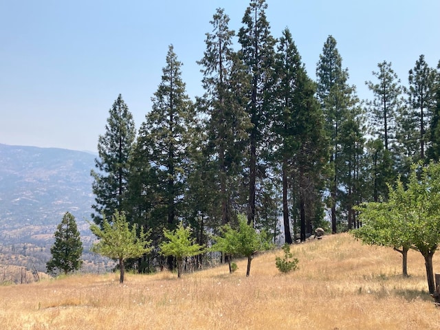 43006 Cedar Springs Rd, Auberry, CA 93602 - photo 1