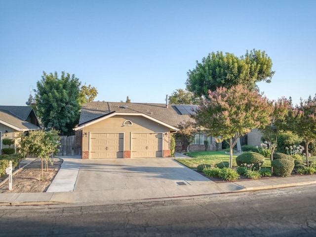 2450 Harold St, Kingsburg, CA 93631 - photo 42