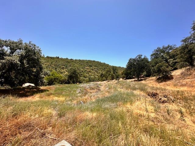 45911 Orchard Dr, Miramonte, CA 93641 - photo 9