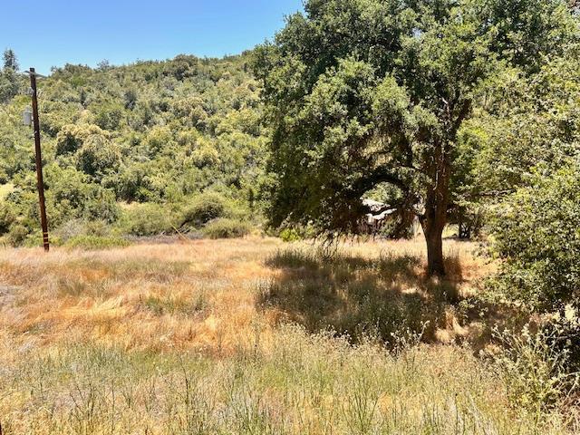 45911 Orchard Dr, Miramonte, CA 93641 - photo 10