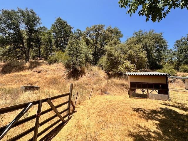 45911 Orchard Dr, Miramonte, CA 93641 - photo 8