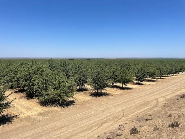 123 N Russell, Firebaugh, CA 93622 - photo 4