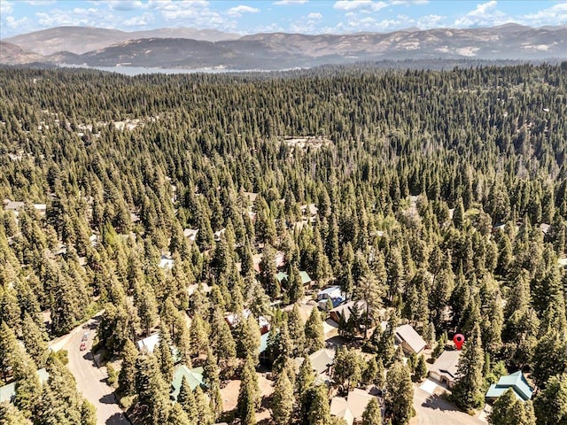 41189 Silver Pine Ln, Shaver Lake, CA 93664 - photo 11