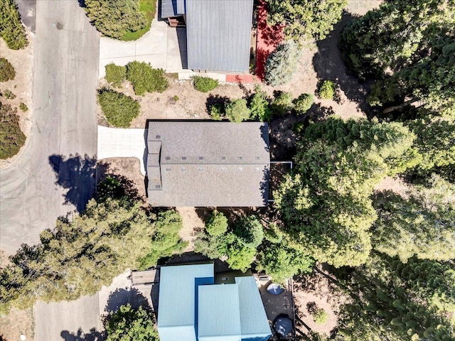 41189 Silver Pine Ln, Shaver Lake, CA 93664 - photo 46