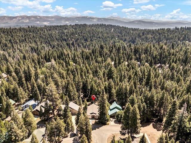 41189 Silver Pine Ln, Shaver Lake, CA 93664 - photo 12