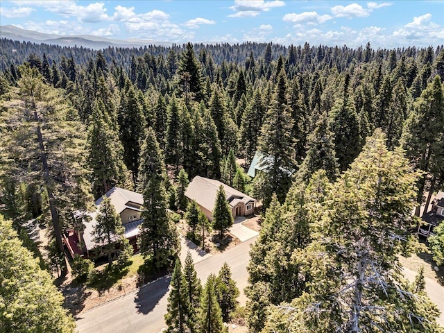 41189 Silver Pine Ln, Shaver Lake, CA 93664 - photo 10
