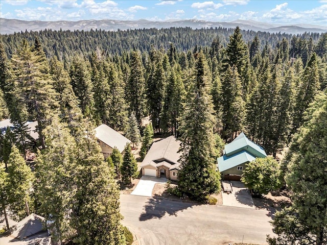 41189 Silver Pine Ln, Shaver Lake, CA 93664 - photo 9