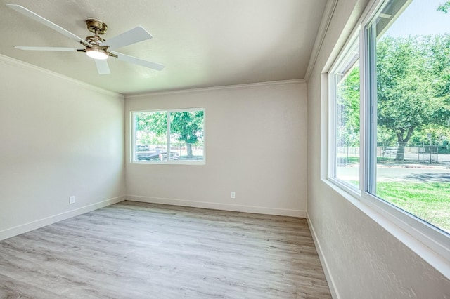 4843 N Palm Ave, Fresno, CA 93704 - photo 21
