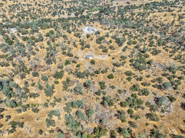 28022 Yosemite Springs Pkwy, Coarsegold, CA 93614 - photo 55