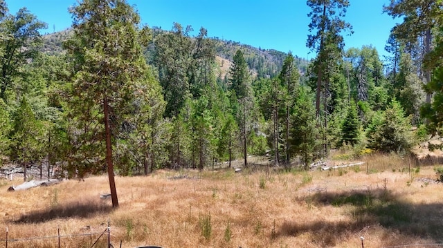 7190 Hites Cove Rd, Mariposa, CA 95338 - photo 54