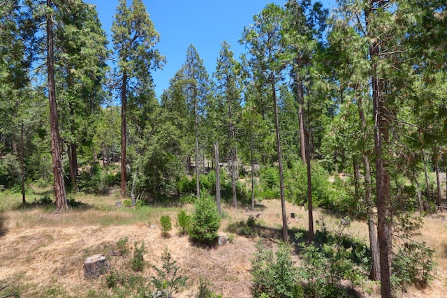 7190 Hites Cove Rd, Mariposa, CA 95338 - photo 53
