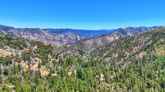 7190 Hites Cove Rd, Mariposa, CA 95338 - photo 58