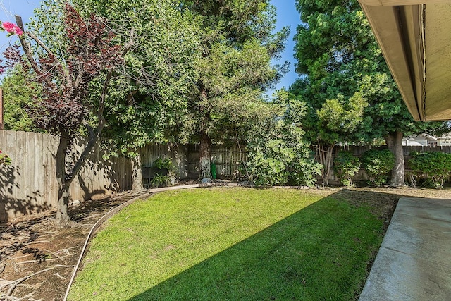 8189 N Angus St, Fresno, CA 93720 - photo 42