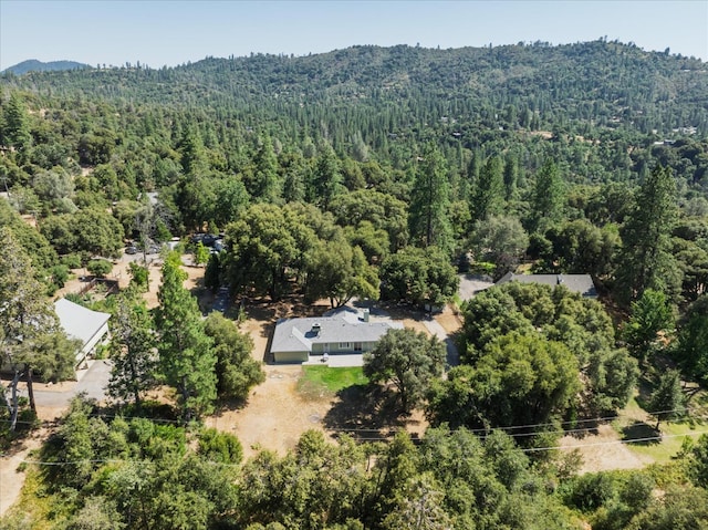 51765 Ponderosa Way, Oakhurst, CA 93644 - photo 50