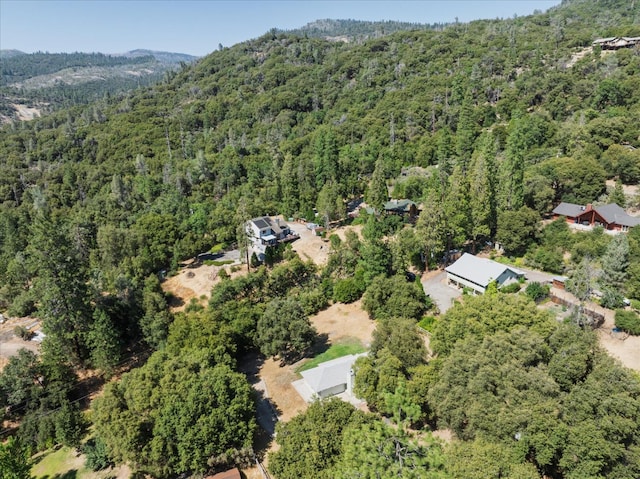 51765 Ponderosa Way, Oakhurst, CA 93644 - photo 3