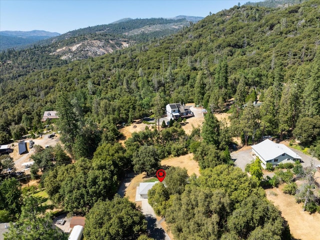 51765 Ponderosa Way, Oakhurst, CA 93644 - photo 51