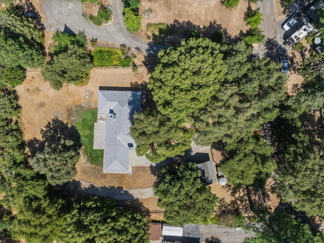 51765 Ponderosa Way, Oakhurst, CA 93644 - photo 4