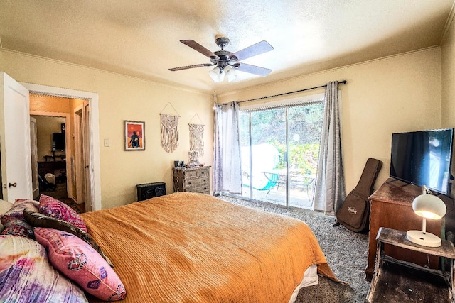 250 Sonora Ave, Sonora, CA 95370 - photo 15