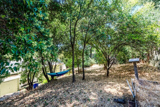 250 Sonora Ave, Sonora, CA 95370 - photo 34