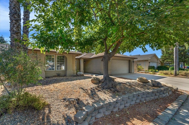 7233 N Thorne Ave, Fresno, CA 93650 - photo 3