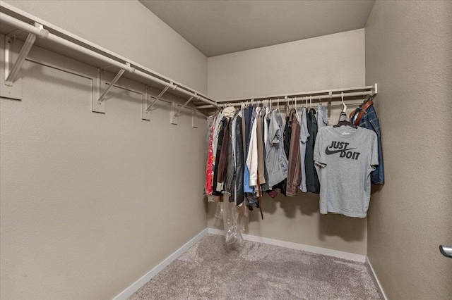 7233 N Thorne Ave, Fresno, CA 93650 - photo 27