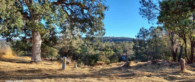 1220 Corral Dr, Coarsegold, CA 93614 - photo 1
