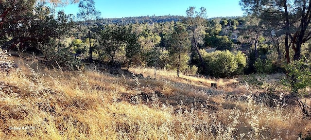 1220 Corral Dr, Coarsegold, CA 93614 - photo 3