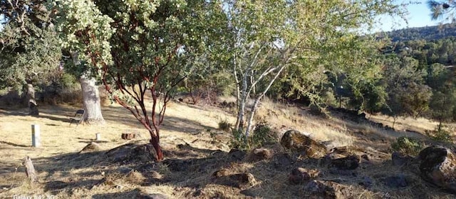 1220 Corral Dr, Coarsegold, CA 93614 - photo 5