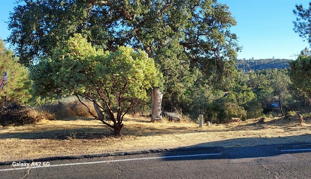 1220 Corral Dr, Coarsegold, CA 93614 - photo 7