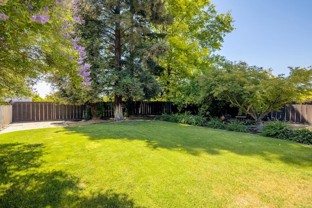 7855 S Buttonwillow Ave, Reedley, CA 93654 - photo 65