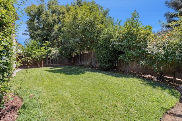 7545 N Trellis Cir, Fresno, CA 93720 - photo 35