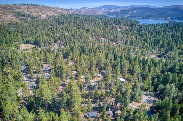 41277 Timber Dr, Shaver Lake, CA 93664 - photo 40