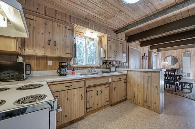 41277 Timber Dr, Shaver Lake, CA 93664 - photo 23
