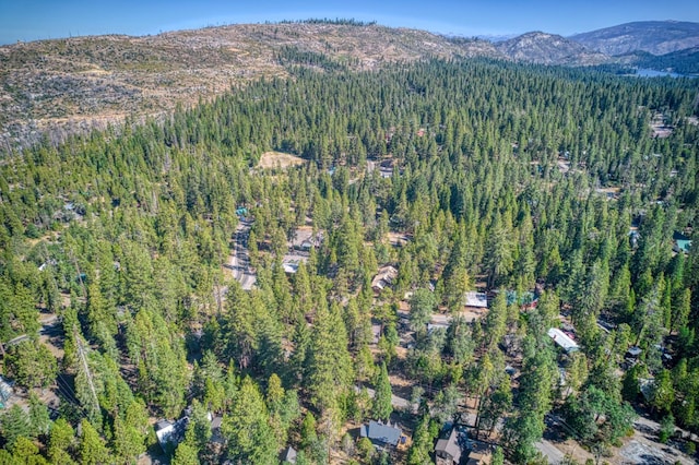 41277 Timber Dr, Shaver Lake, CA 93664 - photo 41